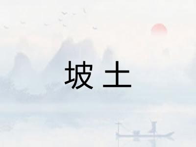 坡土