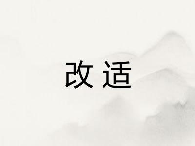 改适