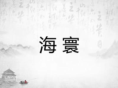 海寰
