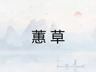 蕙草