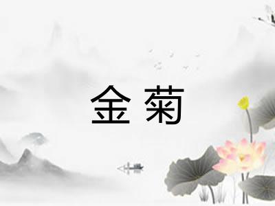金菊