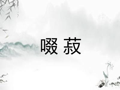 啜菽