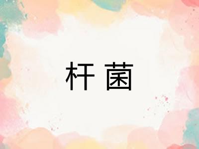 杆菌